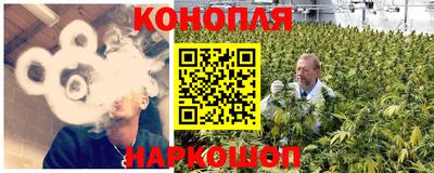 jwh Славгород