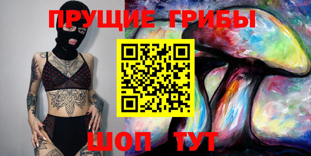 Псилоцибиновые грибы Cubensis Омск