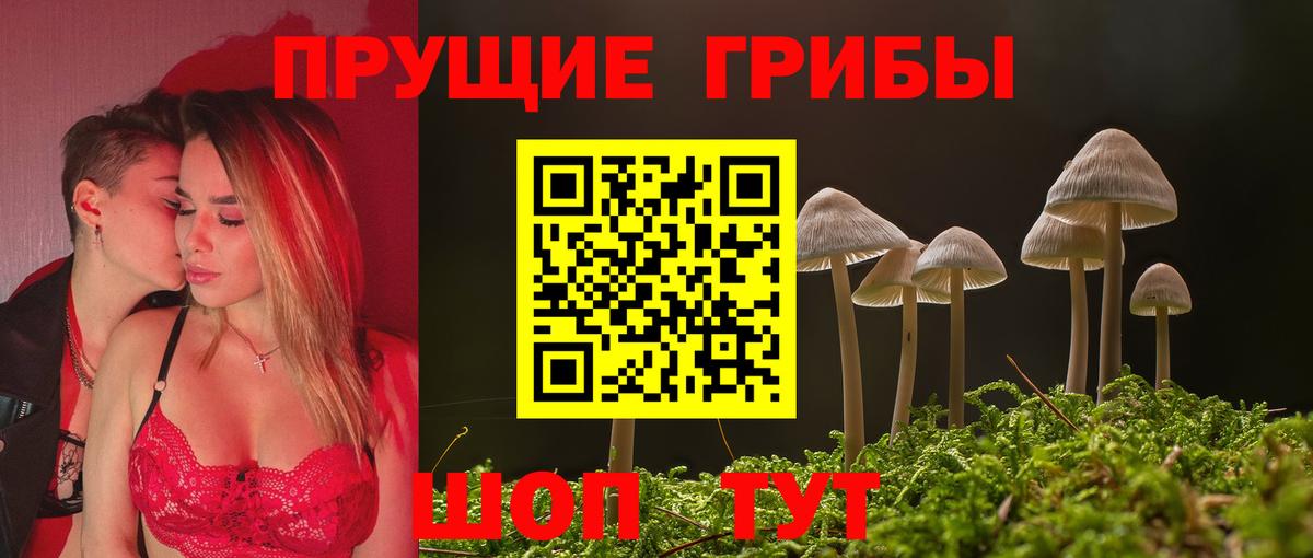 Галлюциногенные грибы мухоморы  Вход с VPN  Омск  Галлюциногенные грибы GOLDEN TEACHER 